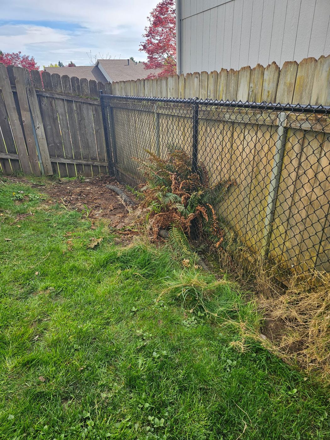After - Full Room Estate Cleanout — Vancouver, WA
