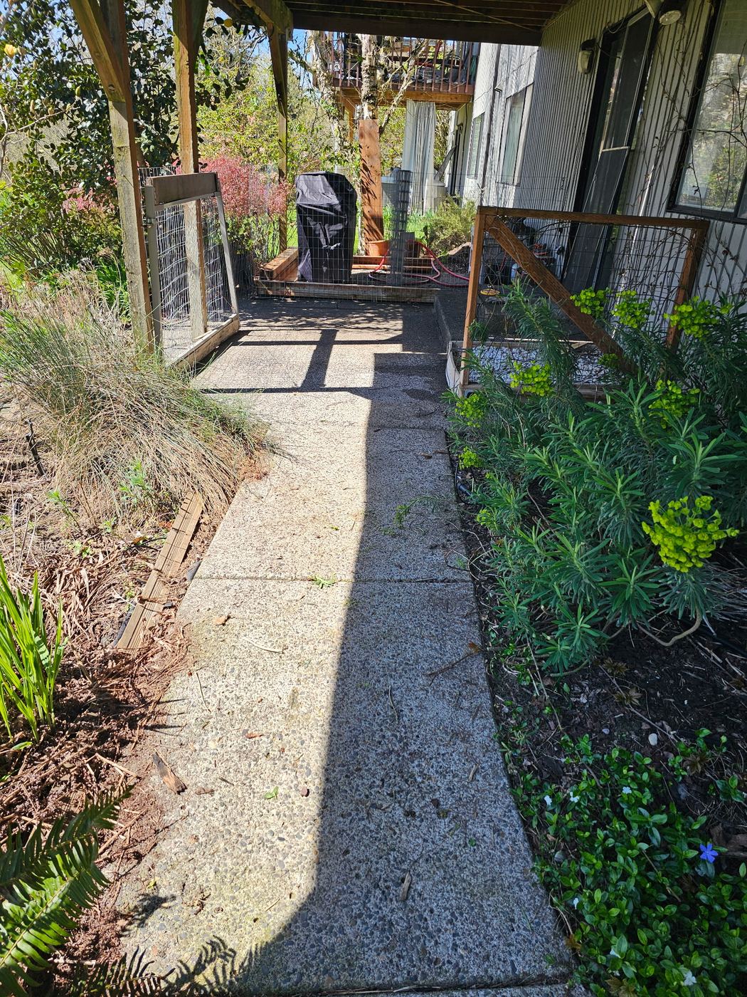 After - Full Property Cleanout — Clark County, WA