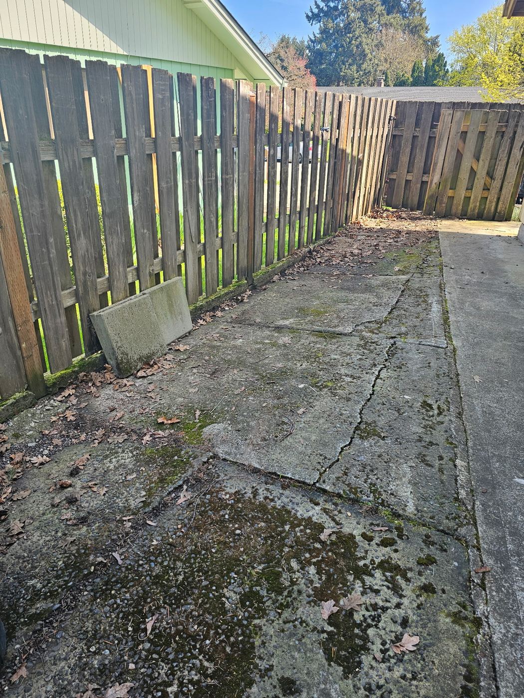 After - Side Yard & Walkway Cleanout — Vancouver, WA